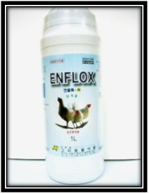 ENFLOX Sol Made in Korea